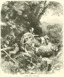 Holzschneiden im Wald