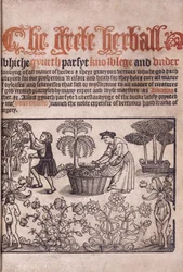 Titelblatt, das eine Gartenszene mit Figuren illustriert, 1529