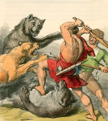 Tom und der Tüftler töten die Bären und Löwen