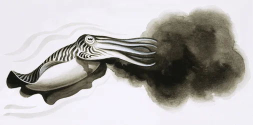 Zahn und Klaue: Kriegswaffen. Tintenfisch