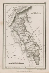 Stamm Naphtali