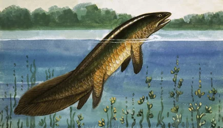 Unbekannter Fisch