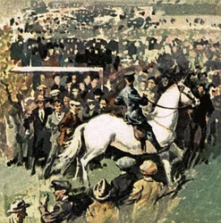 Weißes Pferd beim Pokalfinale 1923 in Wembley