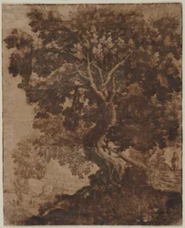 Baum in einer Landschaft, Mitte des 17. Jahrhunderts