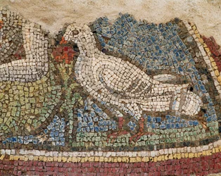 Eine Taube. Mosaik aus den Hanghäusern in Ephesus, Türkei