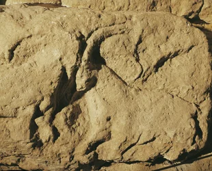 Kämpfende Widder (Steinrelief)