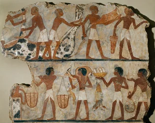 Metzger zerlegen einen Ochsen, Lebensmittelträger