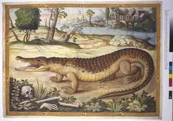 Vollseite: Nilkrokodil in einer Landschaft, mit menschlichen Knochen daneben, um 1562-1580