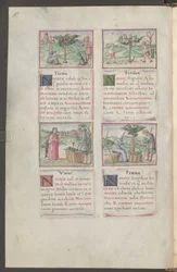 Vollseite: Text und Miniaturen