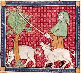 September: Schweine fressen Eicheln (Miniatur aus „Breviaire d