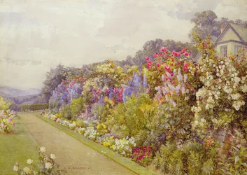 Delphinium-Grenze, bei 