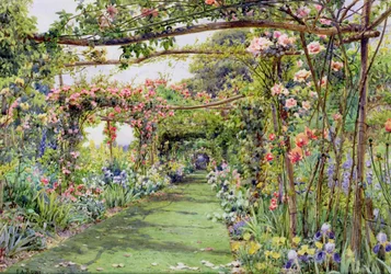 Die Rosenpergola, Blackhurst House, Tunbridge Wells, Kent
