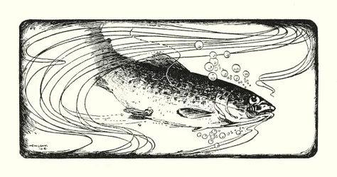 Lachs am Haken