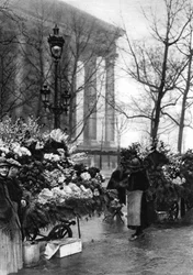 Blumenmarkt an der Madeleine, Paris, 1931