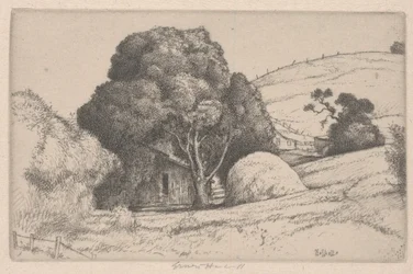 Heuhaufen