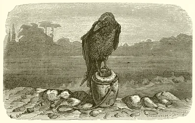 Die Krähe und der Krug