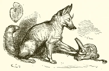 Der Fuchs und die Maske
