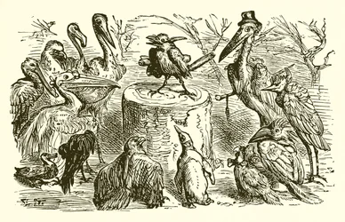 Der Pfau und die Elster