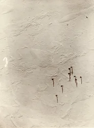 Blick vom Ballon über das Plateau zur „Discovery“ (1901). Aus dem Album von Sir Ernest Henry Shackleton mit dem Titel „National Antarctic Expedition (1901-1903)“