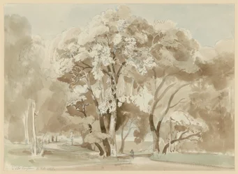 Baumgruppe im Park der Villa Borghese in Rom