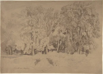 Waldrand bei Frascati
