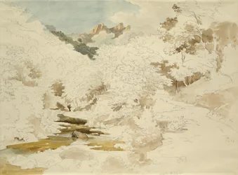 Wald bei Massa