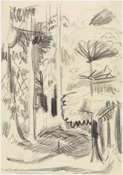 Mischwald