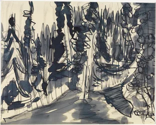 Tannenwald (Bergwald-Studie)