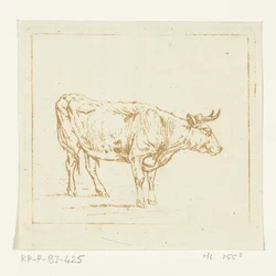 Stier stehend, nach rechts