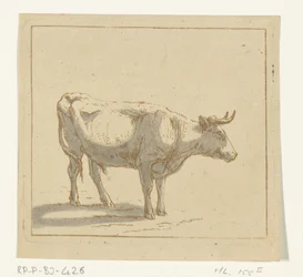 Stier stehend, nach rechts