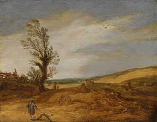Ein Blick in die Dünen