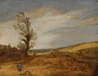 Ansicht in den Dünen
