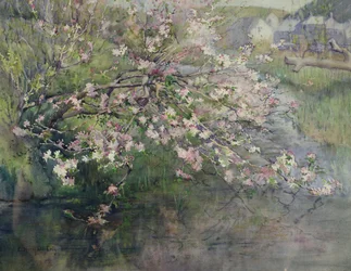 Maiblüte am Fluss