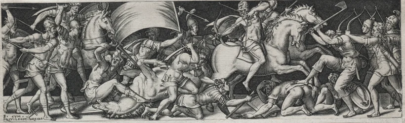 Kämpfe und Triumphe