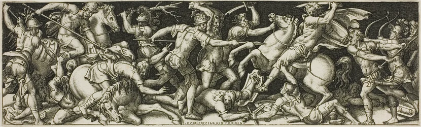 Kämpfe und Triumphe