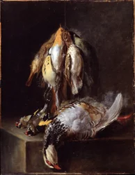 Tote Vögel