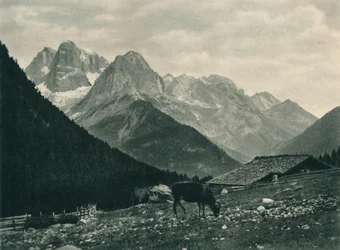 Blick auf die Brenta-Gruppe mit Almwiese, Madonna di Campiglio, Dolomiten, Italien, 1927