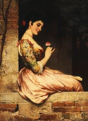 Die rosa Rose