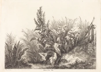 Geduld des Wassers, Studie eines Geduld-Docks, 1840