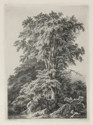 Studien nach der Natur gezeichnet und graviert: Der Strand, Fontainebleau..., 1840