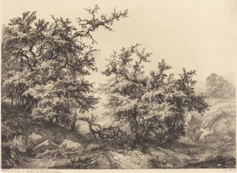 Dornbüsche, 1840