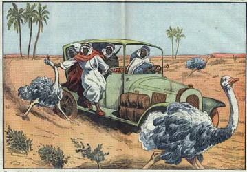 Moderne Jagd: In der arabischen Wüste treiben wohlhabende Beduinen junge Österreicher zusammen, um sie lebend zu fangen. Illustration von Damblans. In „Le Pèlerin“ vom 16. April