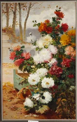 Chrysanthemen in einem ummauerten Garten