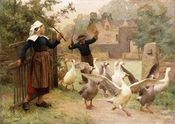 Die Gänse führen