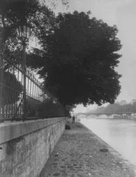 Blick auf Pont des Arts vom Terre-Plein des Pont Neuf