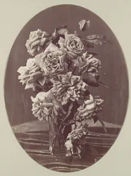 [Rosen], ca. 1875