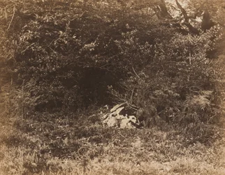 Ein Felsen im Wald, ca. 1865