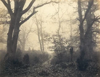 [Wald von Fontainebleau], frühe 1860er Jahre
