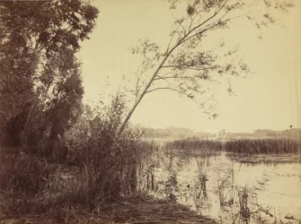 Marais de Fampoux