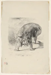 Stehender Löwe, 1833